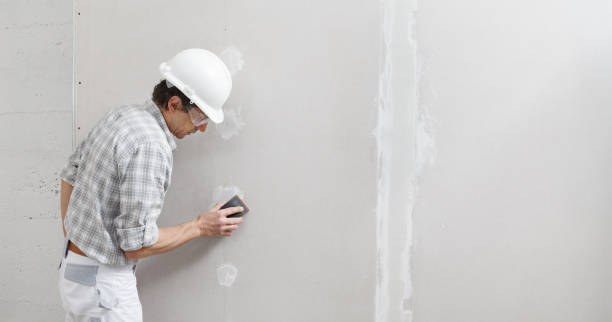 Best Post-Construction Mold Inspection  in Berkley, CO