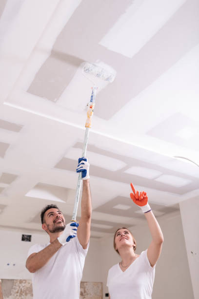 Best Commercial Mold Inspection  in Berkley, CO