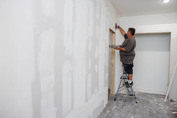 Best Mold Damage Restoration  in Berkley, CO