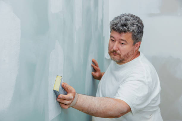 Best Environmental Consulting for Mold Prevention  in Berkley, CO
