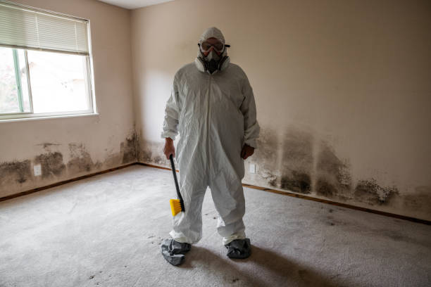 Best Airborne Mold Testing  in Berkley, CO