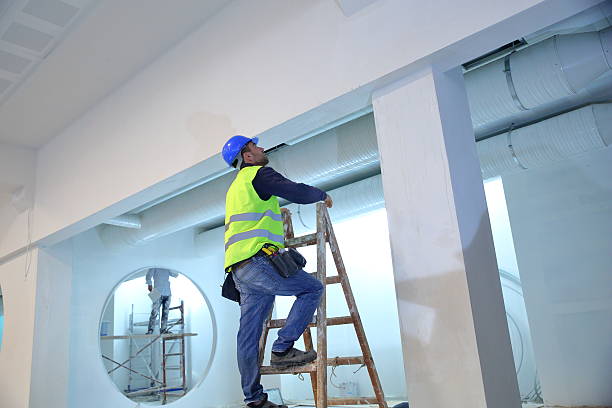 Best Comprehensive Air Testing for Mold Contaminants  in Berkley, CO